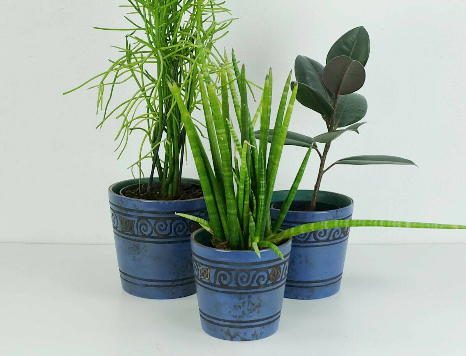 Set of 3 plant pots ceramano pergamon hanns welling 1950s 1960s