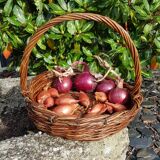 Round raw wicker basket
