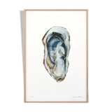 "Sacha" the oyster, art print 20/30cm