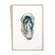 "Sacha" the oyster, art print 20/30cm