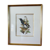 Birds - collection Hepatior No. 18