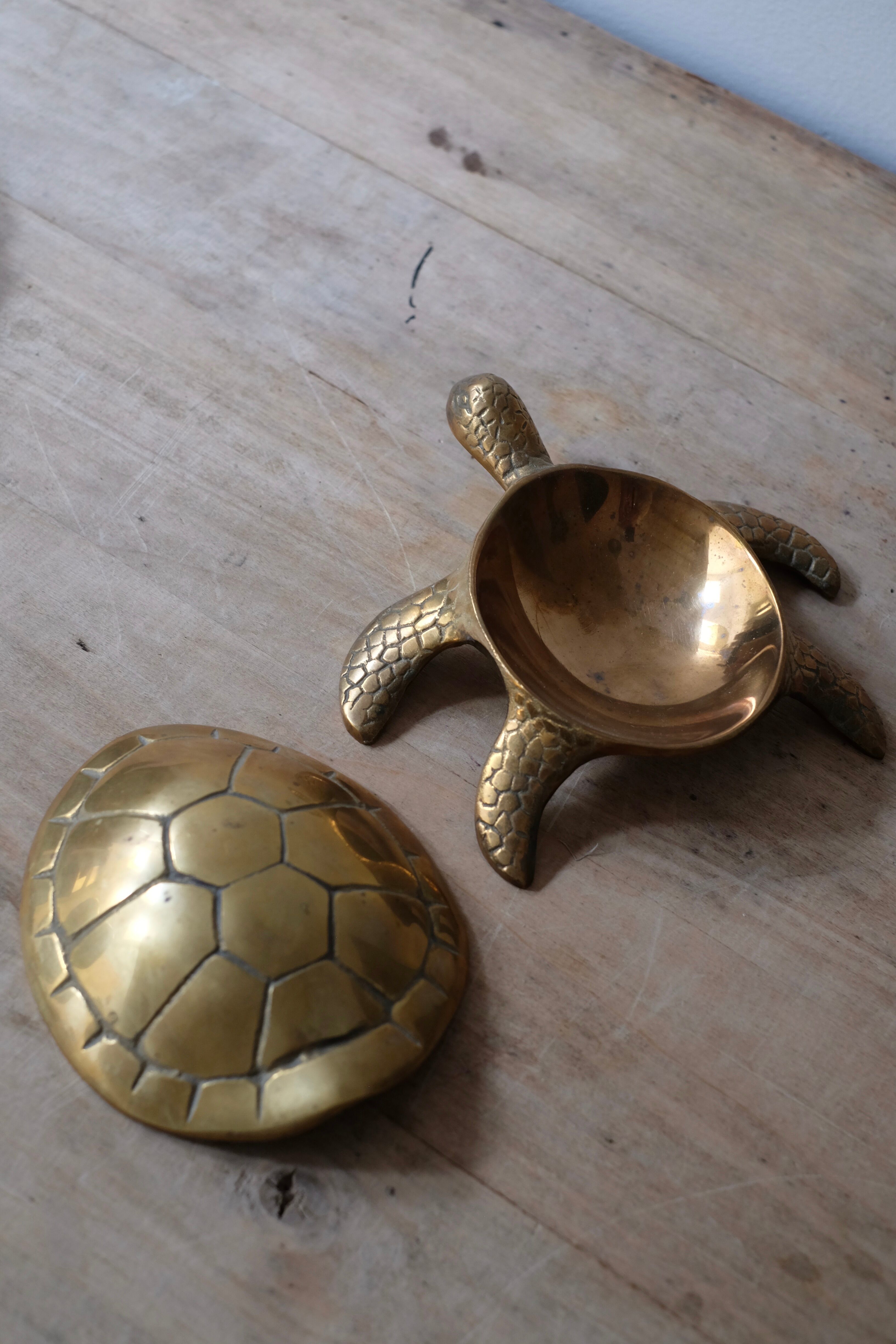 Empty brass turtle pocket