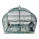 Water green patinated metal cage