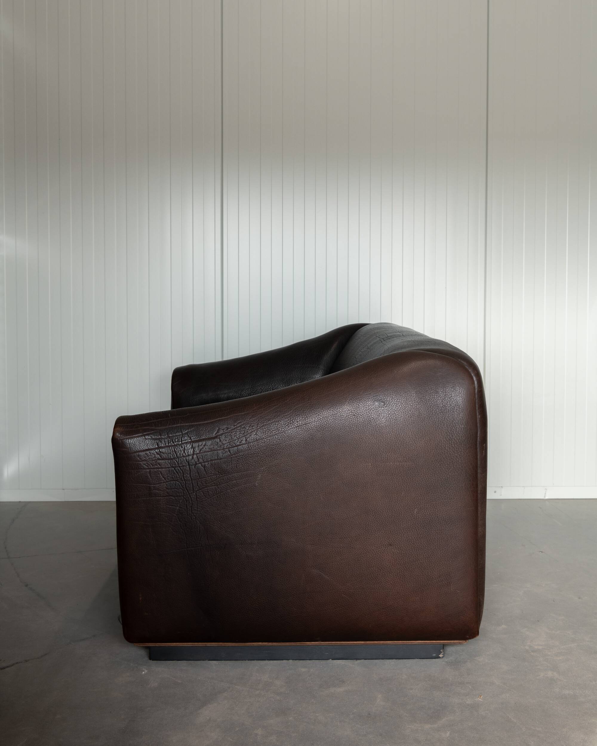 Vintage DS-47 Two-Seater Sofa by De Sede, Neck Leather Extendable Seat 1970