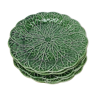 6 flat plates decor cabbage