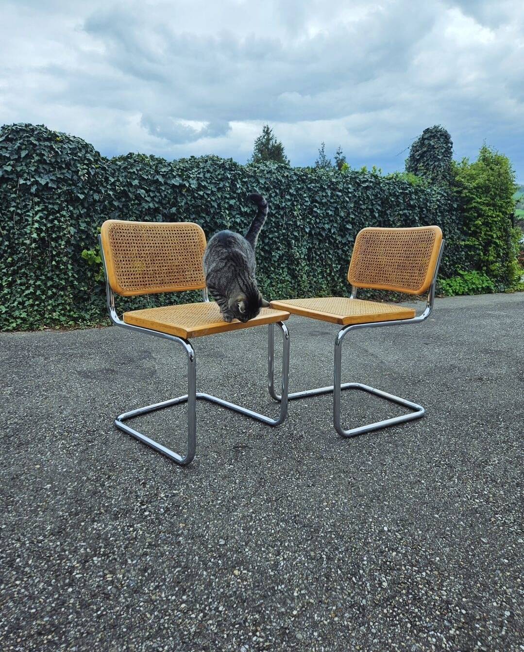 Paire de chaise Marcel Breuer B32