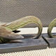Pair of regulated and marble greenhouse books