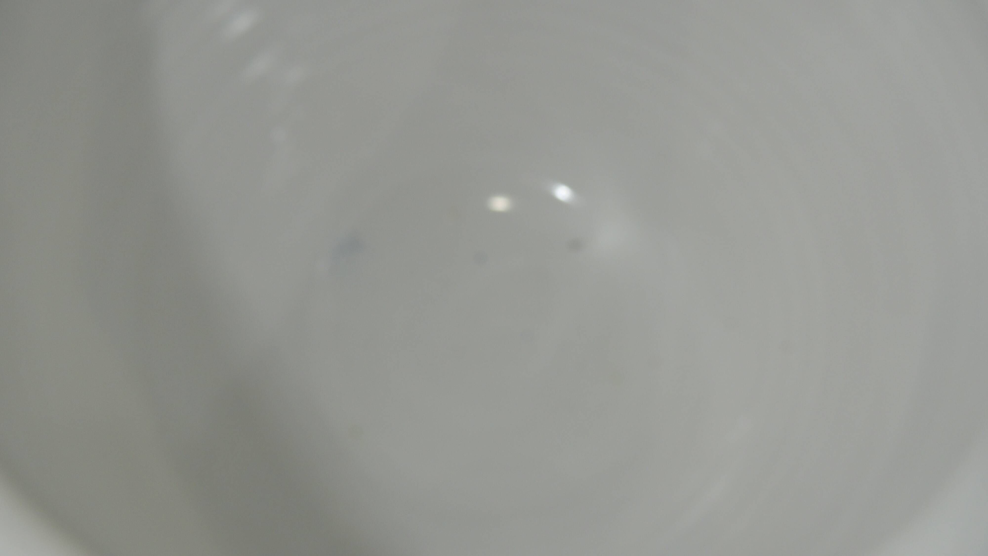 Earthenware/vintage plant pot