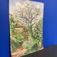 Aquarelle Maison aux Iris