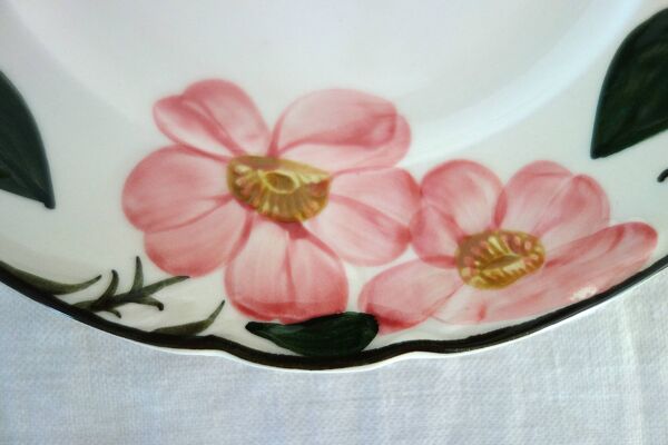 8 assiettes plates Villeroy & Boch ''Wild rose'', 1970