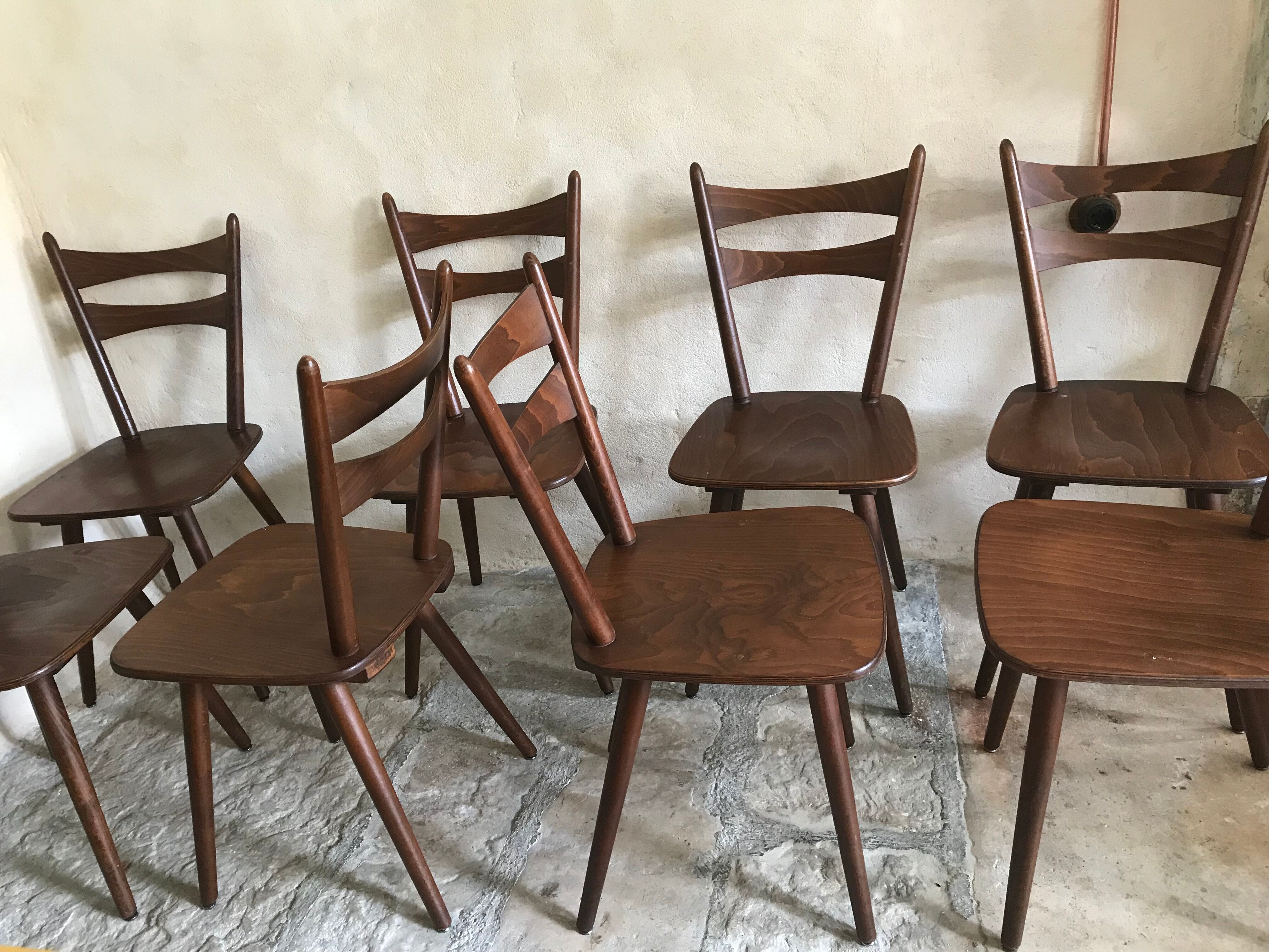 Set of 8 vintage chairs 1960 in beech compass feet