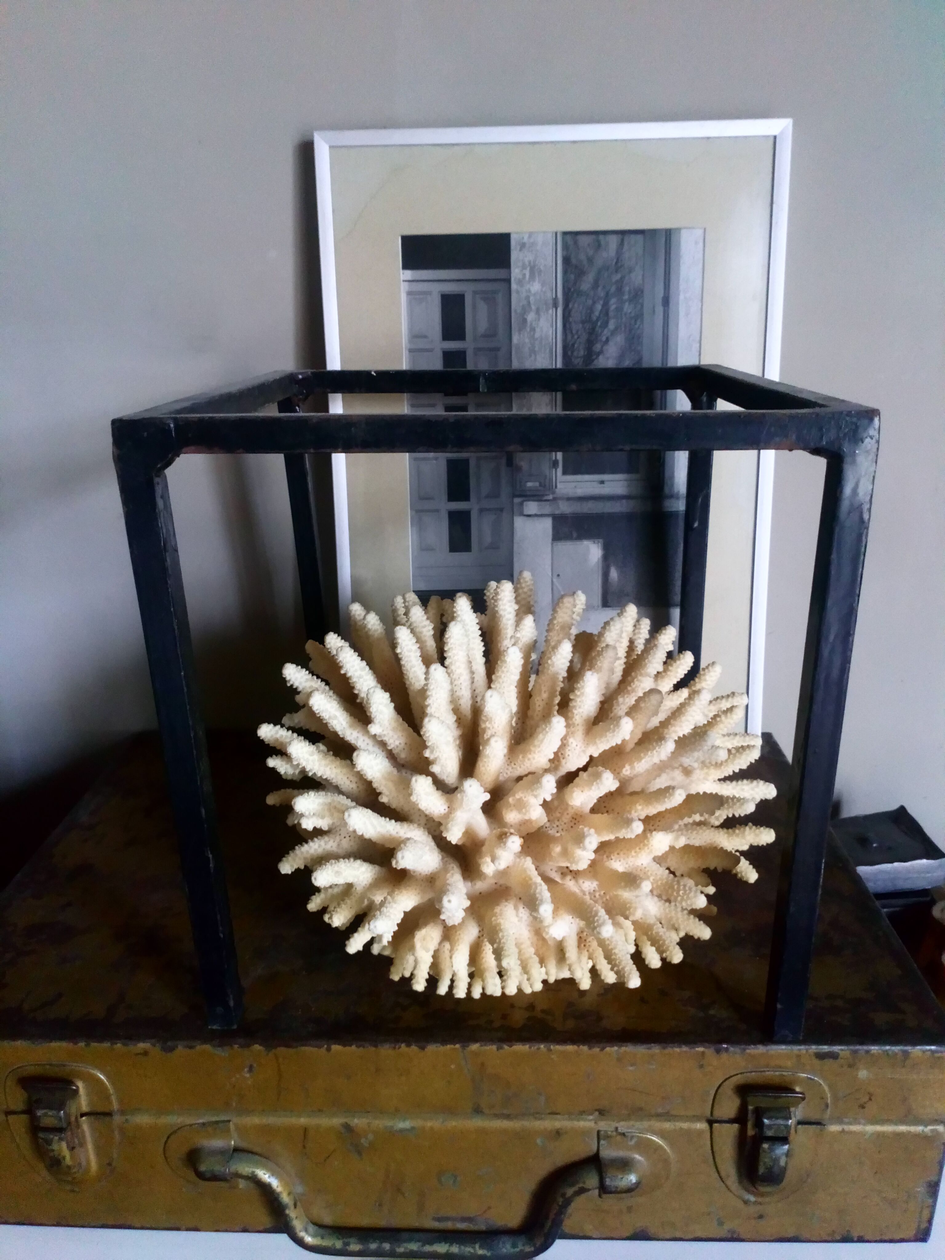 Ancient white coral bouquet