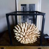 Ancient white coral bouquet