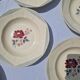 Set of 10 Deep Plates Model Josiane Sarreguemines Manufacture