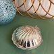 Vintage shell butter dish