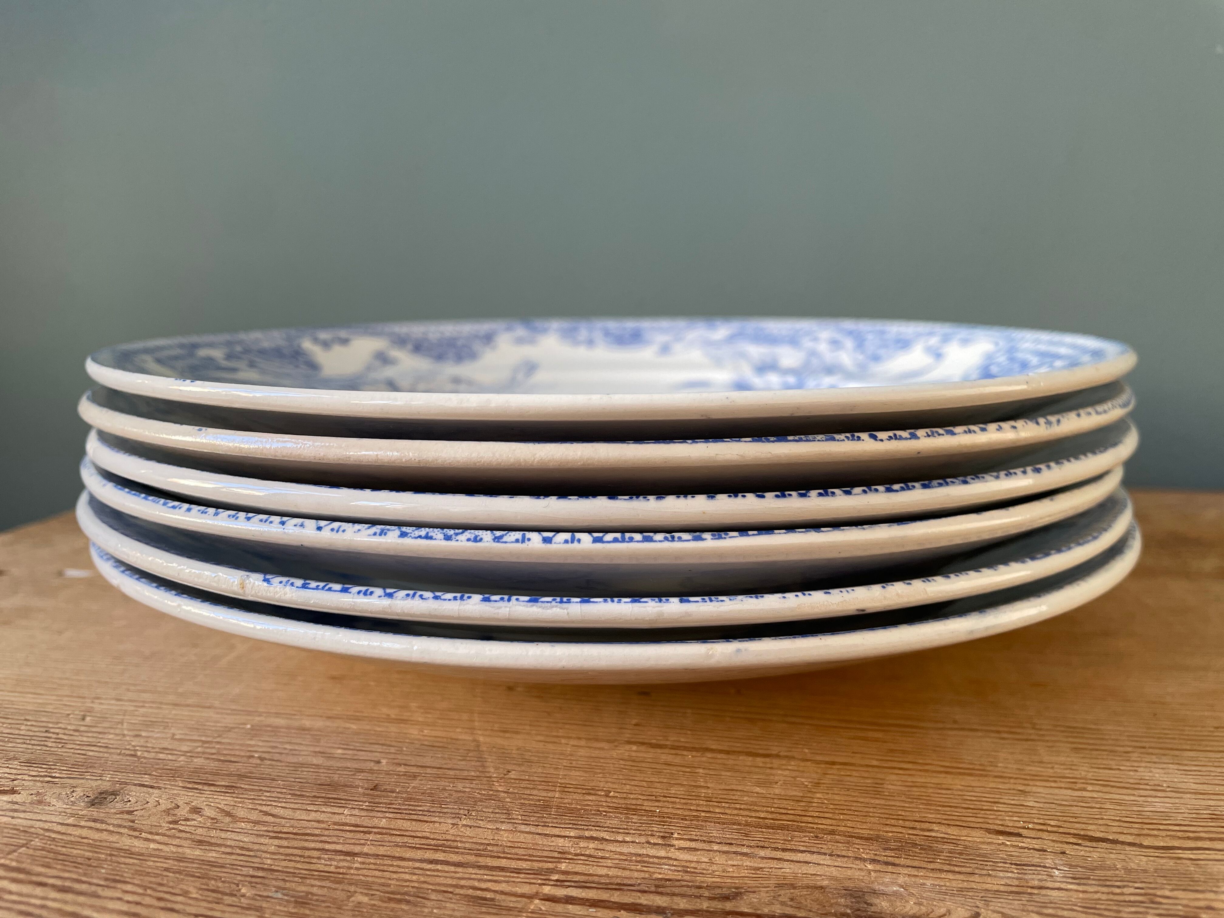 Series of 6 flat plates Iron Earth XIXth
