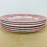 6 assiettes terre de fer rouges Royal Tudor modèle 17th century England ironstone