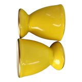 Duo of cockroaches lemon yellow legle under the sun