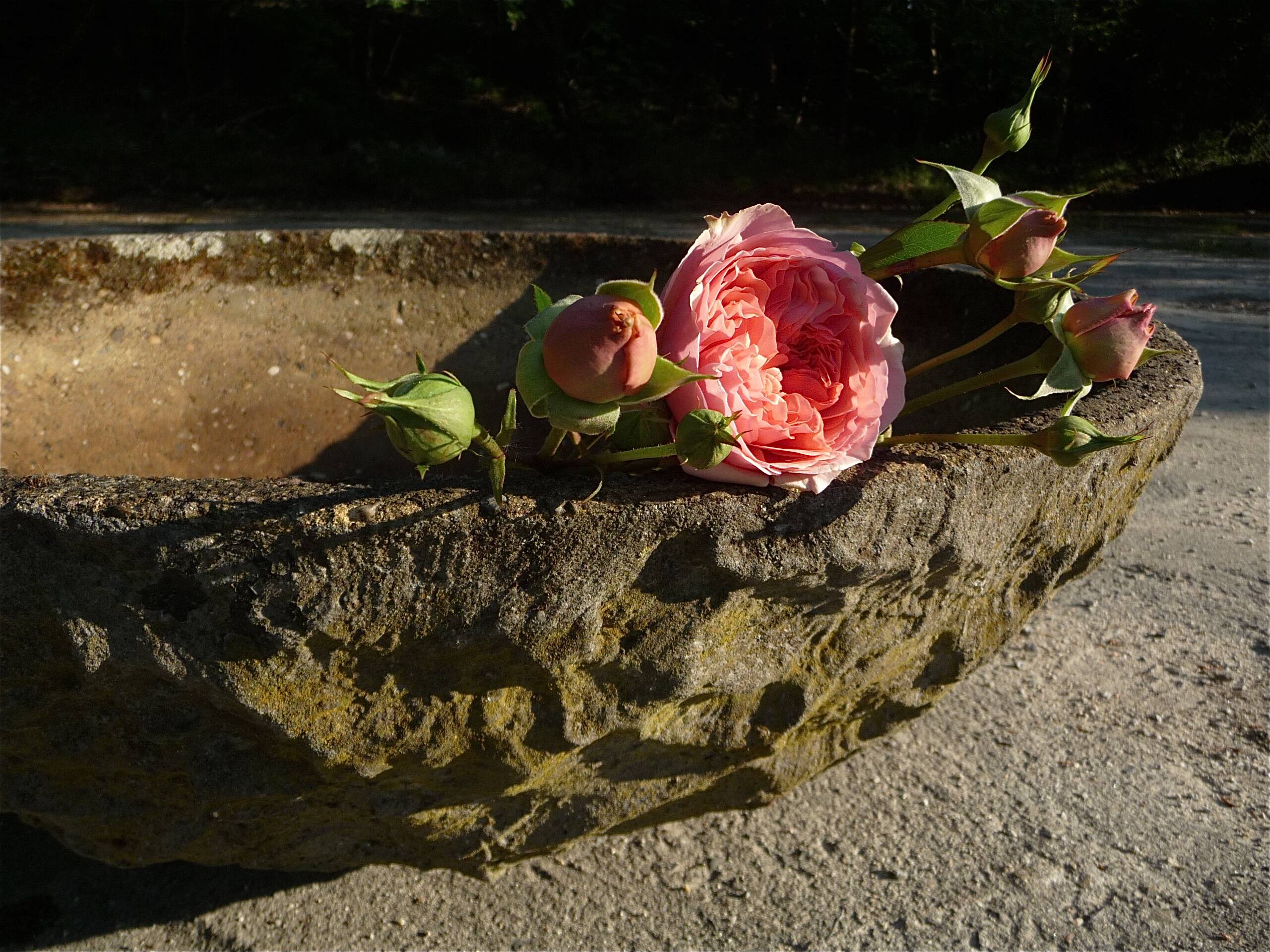 Large brutalist design garden planter bowl, germany 1960s