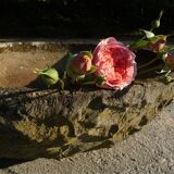 Large brutalist design garden planter bowl, germany 1960s