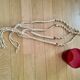 Suspension plante vintage