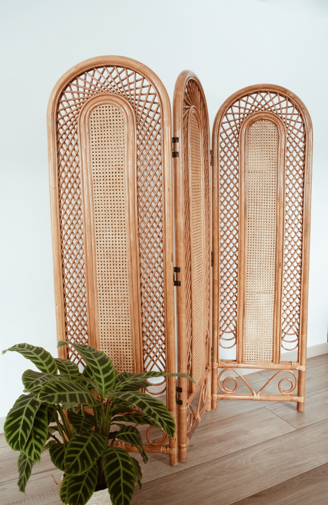 Rattan and cannage screen