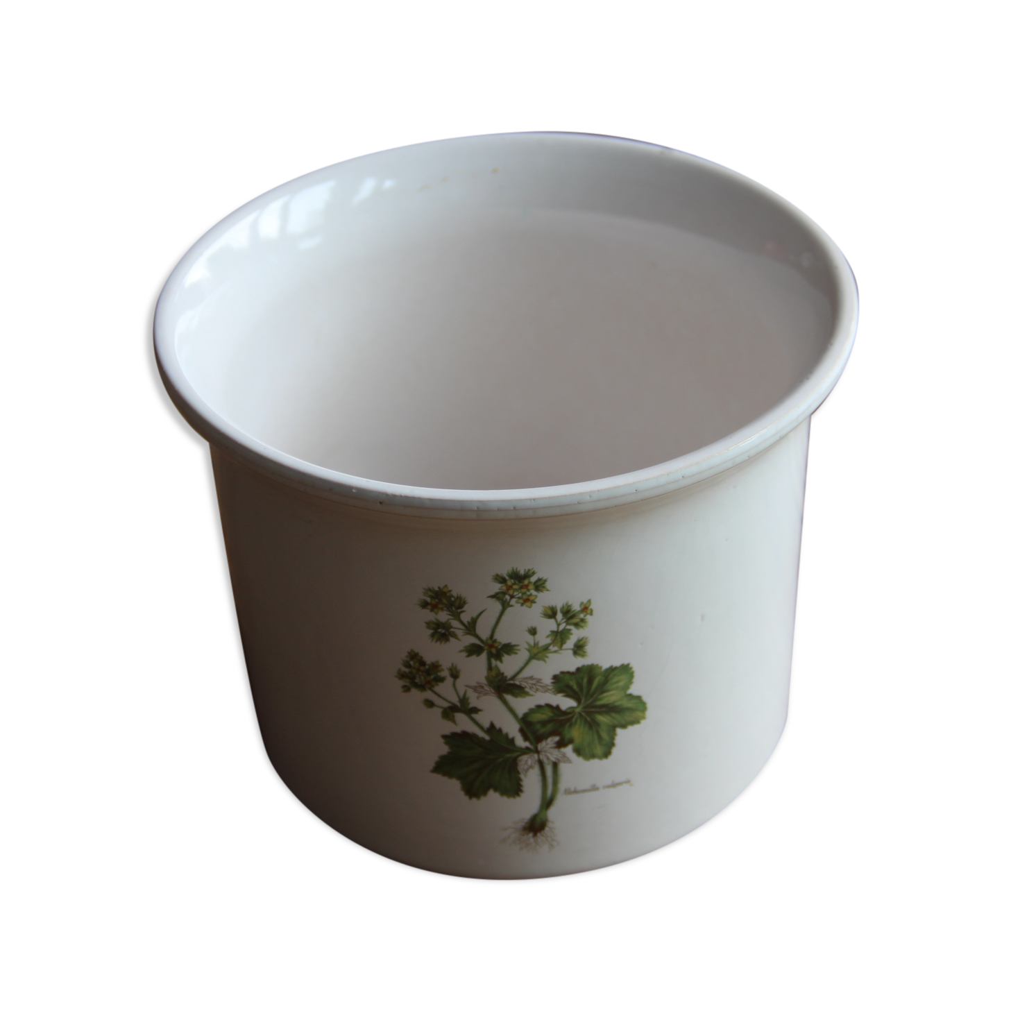 Plant illustration pot