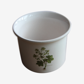 Plant illustration pot