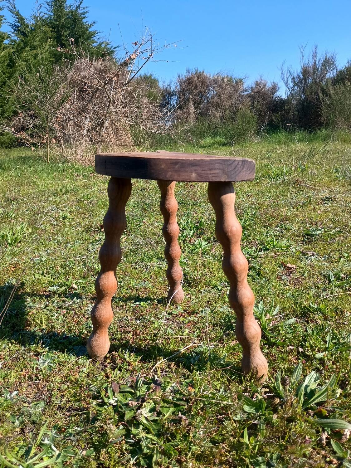 Milking stool