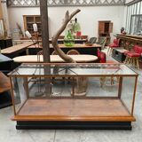 Presentation showcase counter early XXth