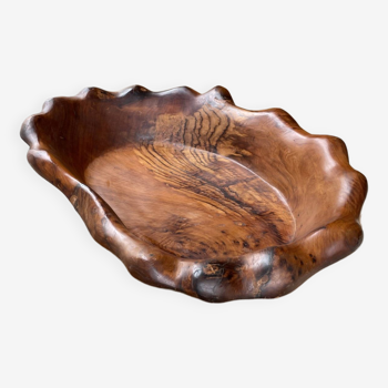 XL thuja root wooden dish