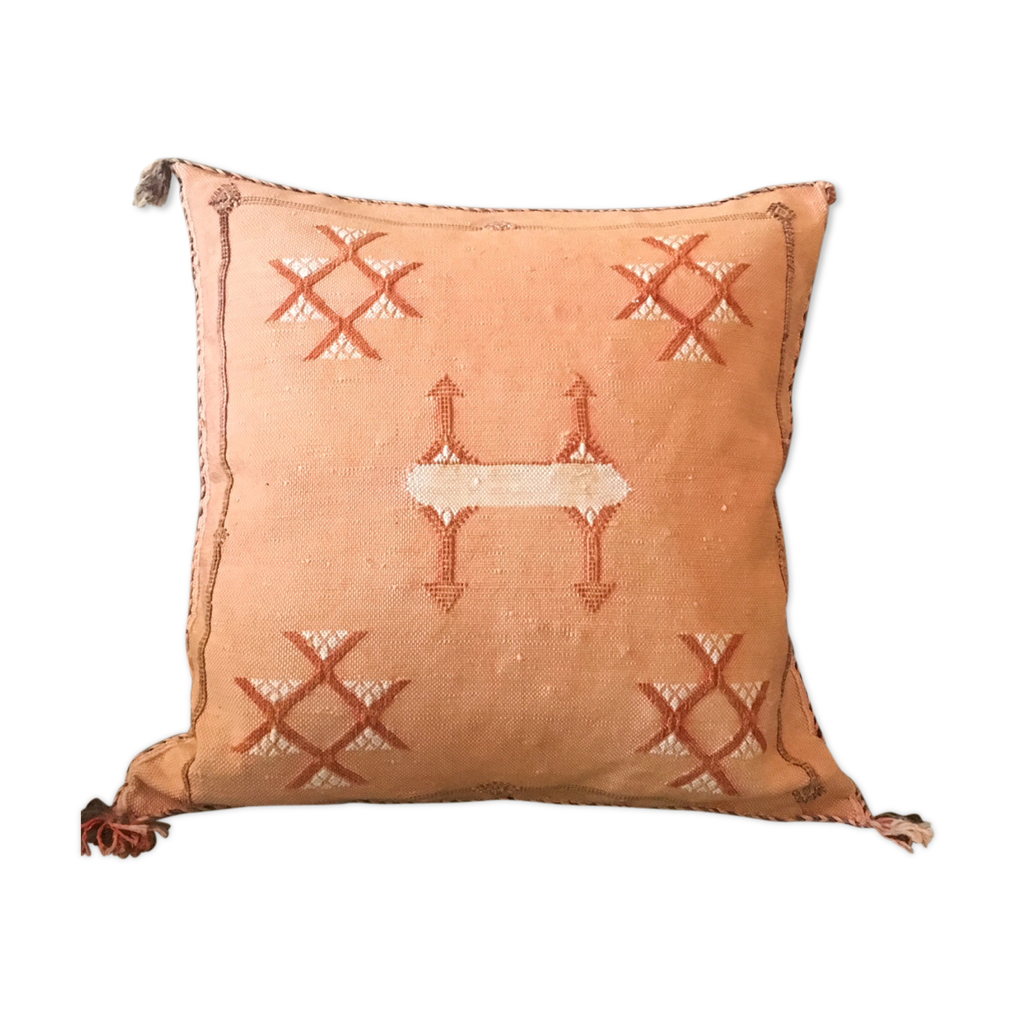 Natural vegetable silk cushion cover