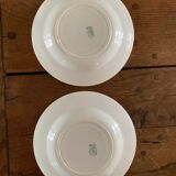 Old plate