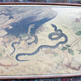 Old snake school map