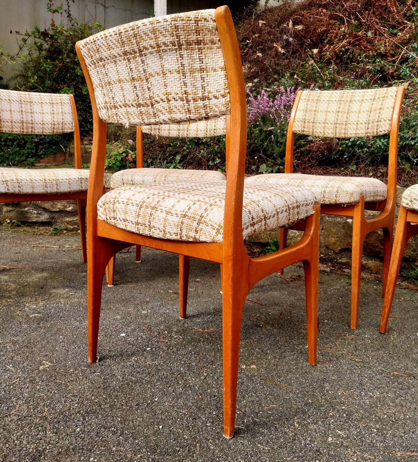 6 chairs 1960