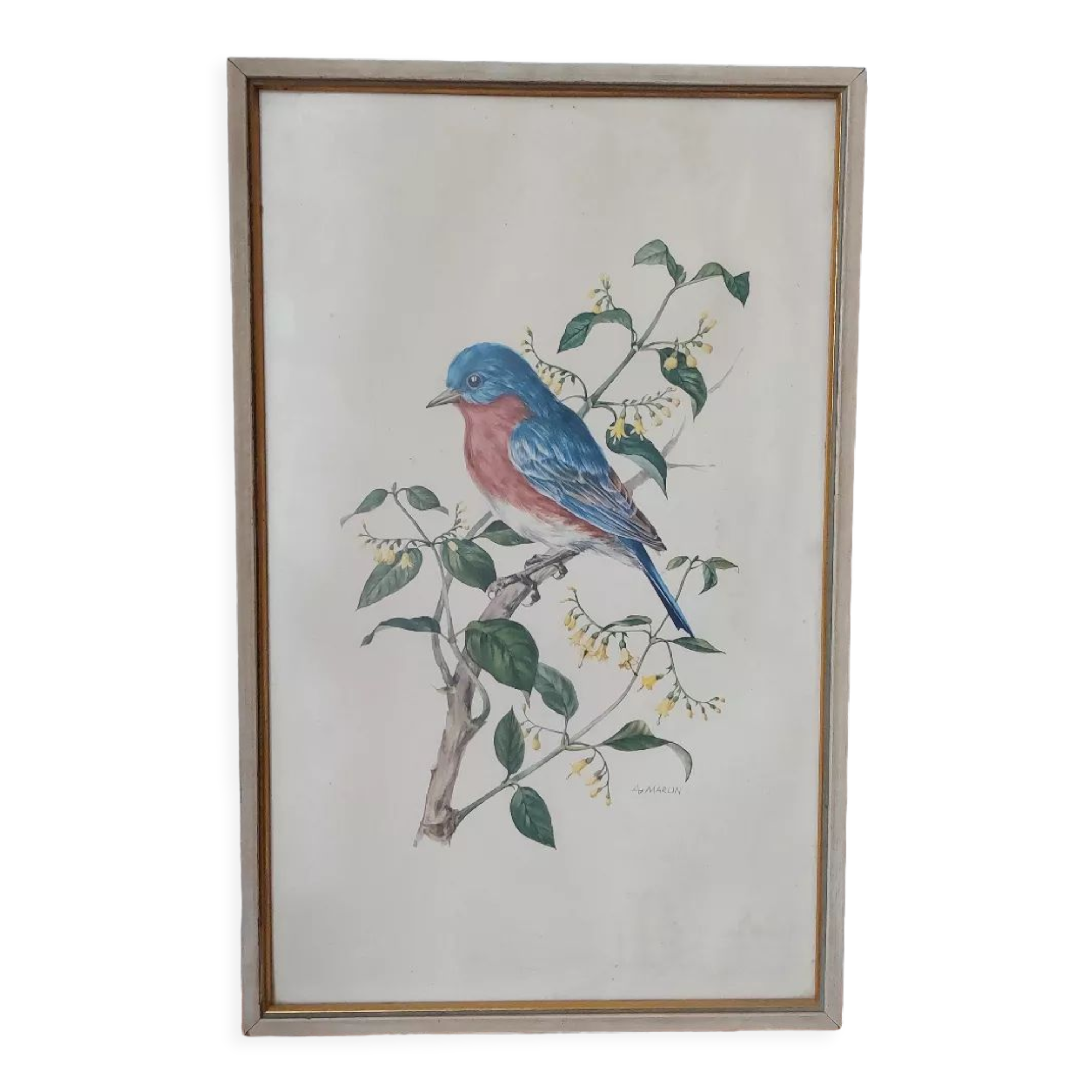 Vintage bird frame