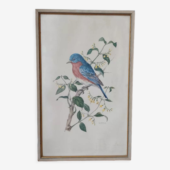Vintage bird frame