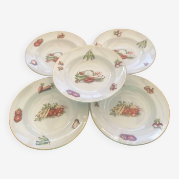 Lot de 5 assiettes creuses moulin des loups