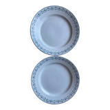 Round iron earth dishes