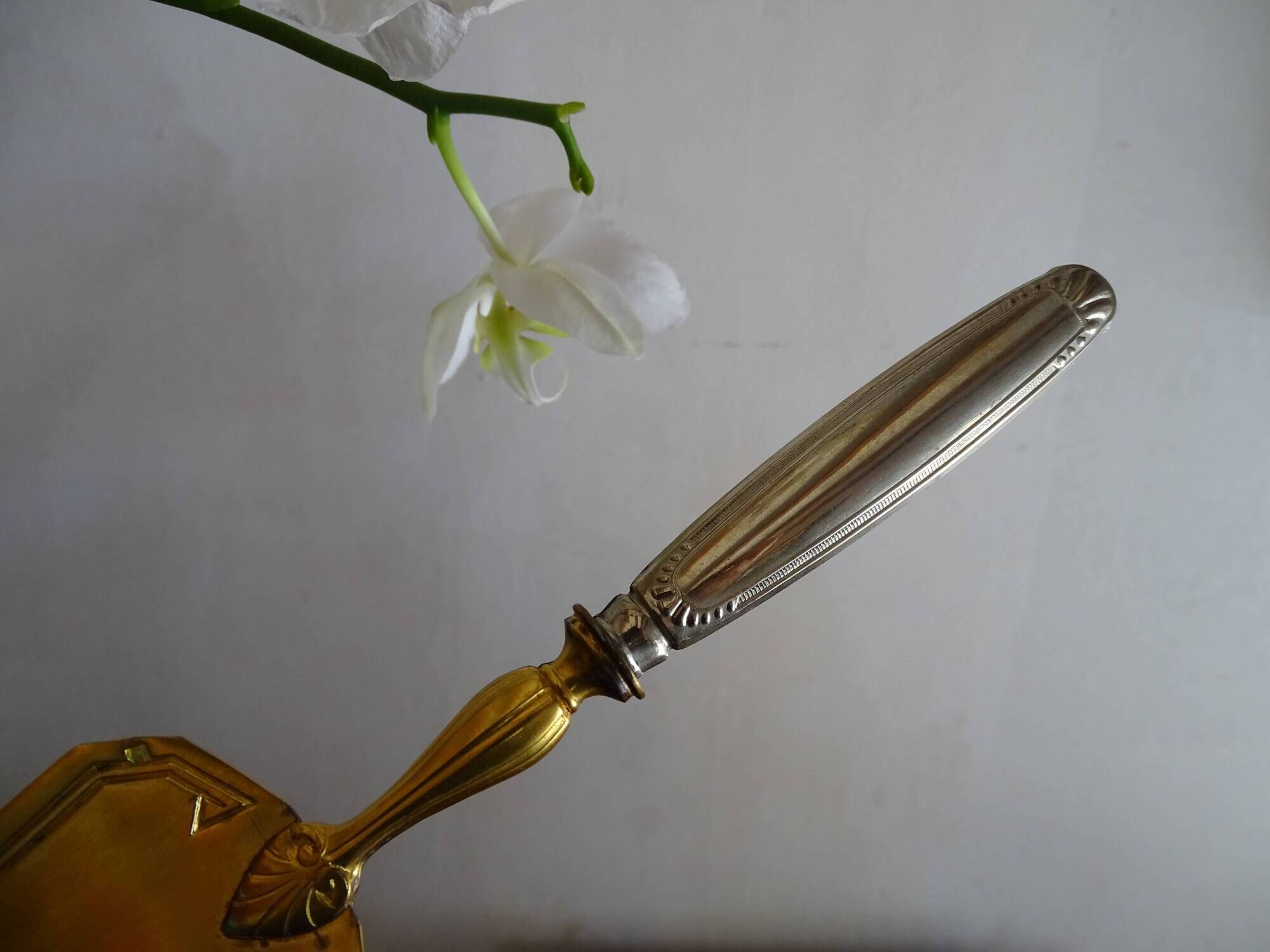 Antique silver and gilded metal pie shovel in case