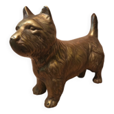 Chien scottish laiton
