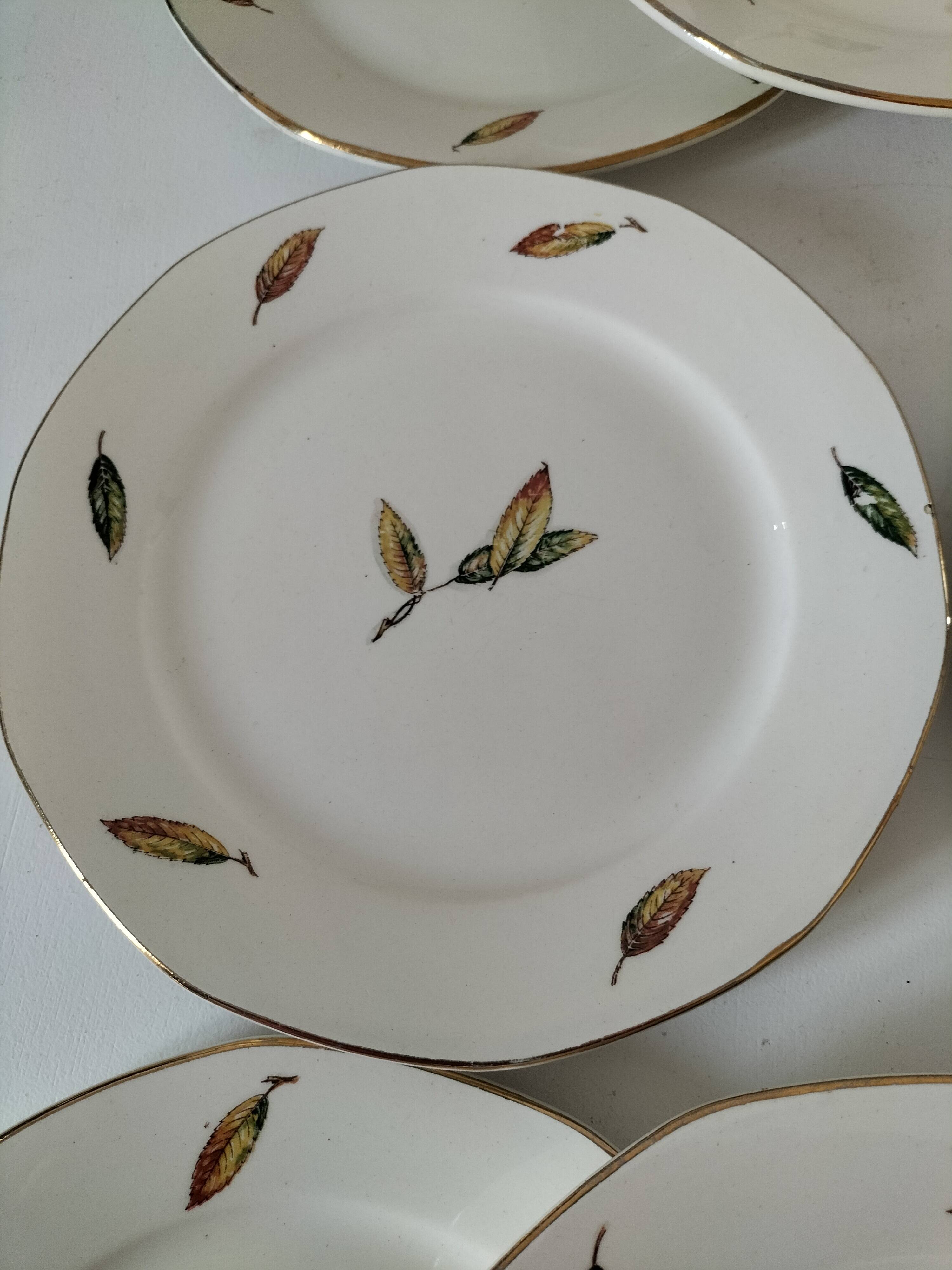 Digoin Sarreguemines Nemours Model Plates.