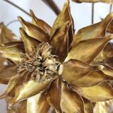 Pair of brass appliques. France, 1960s.