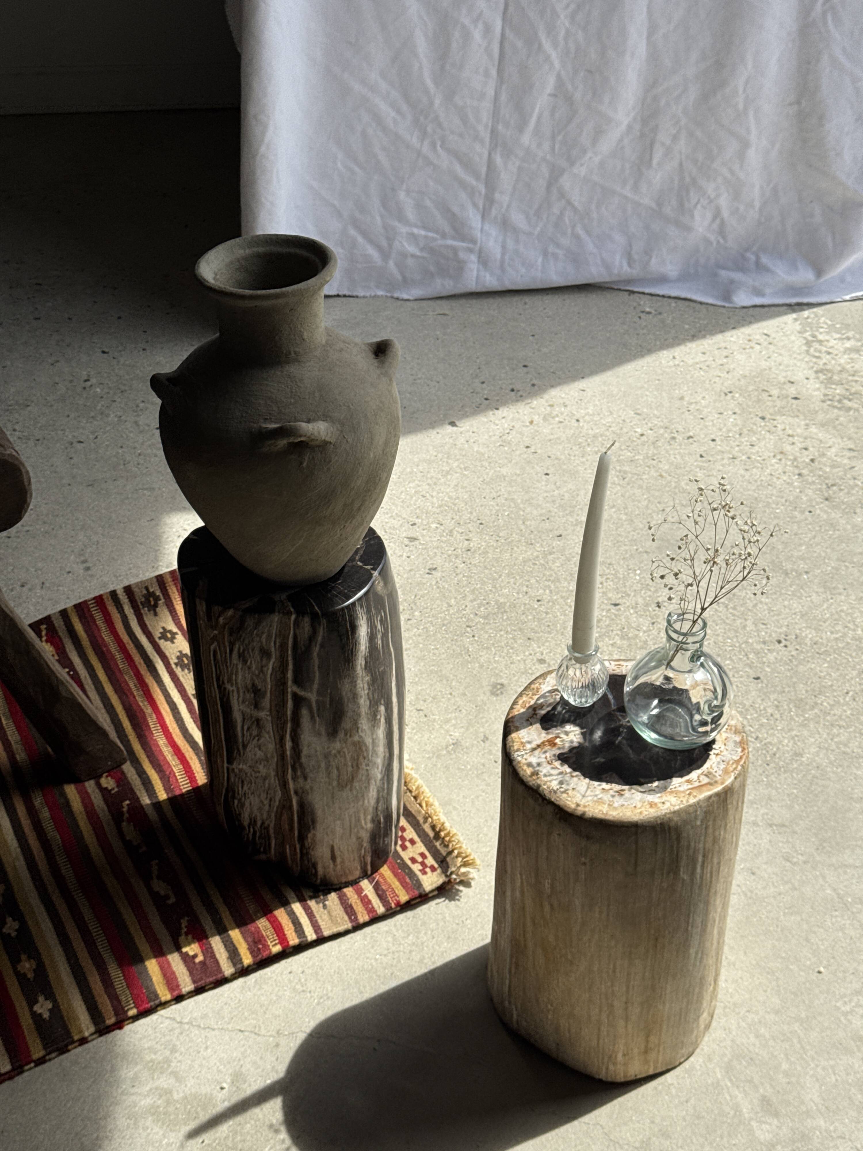 Table d'appoint en bois pétrifié noir