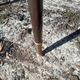 Set of 8 Louis XVI style chairs