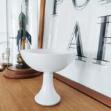 Fruit cup