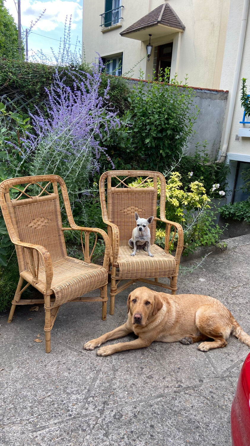 Adult vintage rattan armchair