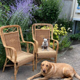Adult vintage rattan armchair