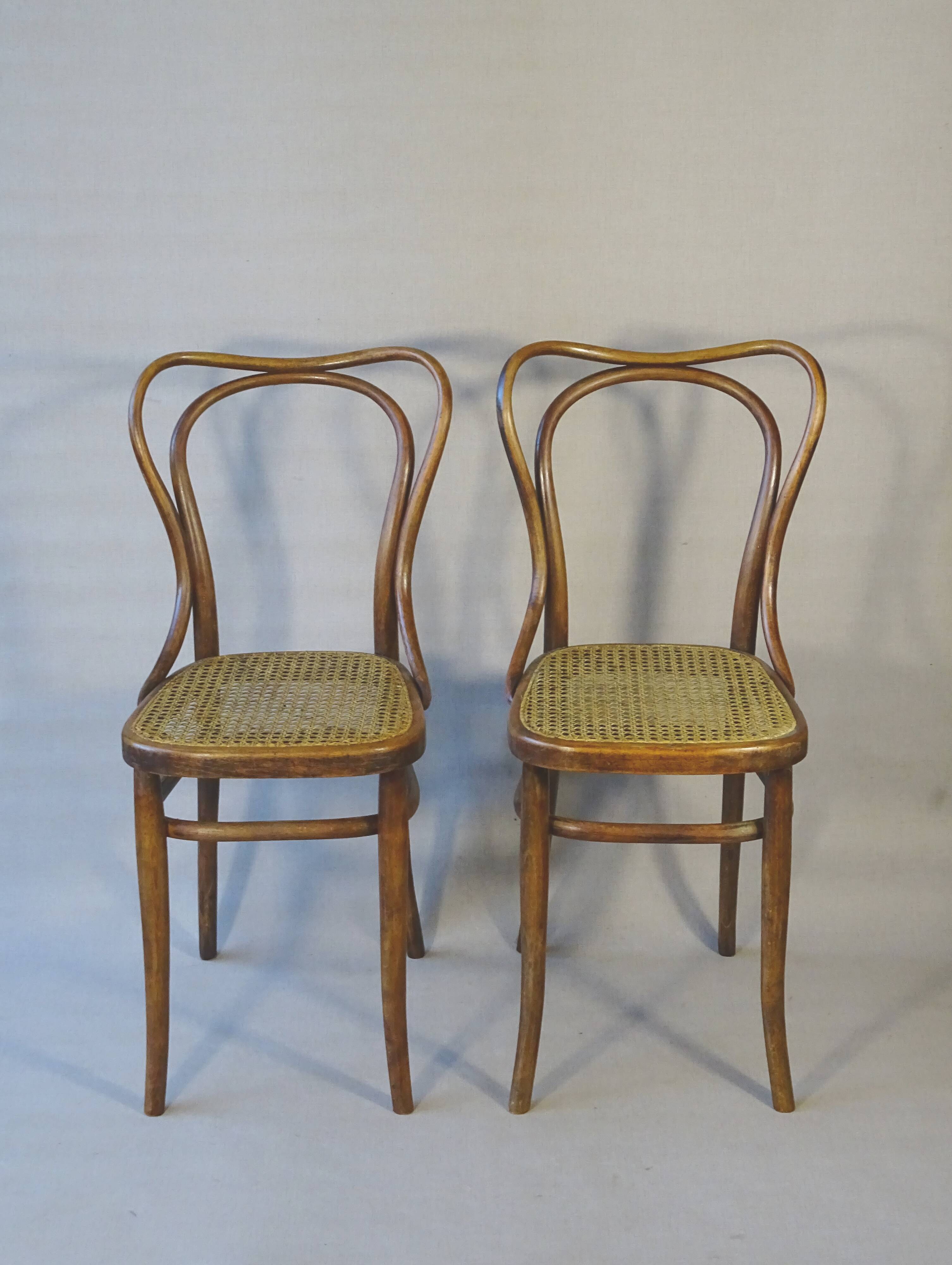 2 Bistro chairs No. 55- 3/4 by Kohn, circa 1905, caned