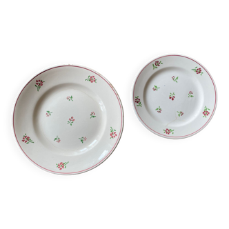 Lot 2 assiettes anciennes en faïence avec motif fleurs